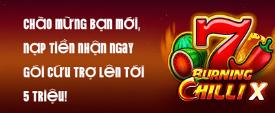 Thưởng Giới Thiệu Bạn Bè promotion